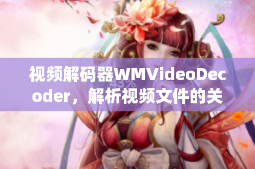 視頻解碼器WMVideoDecoder，解析視頻文件的關(guān)鍵組件(1)