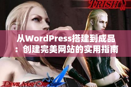 從WordPress搭建到成品：創(chuàng)建完美網(wǎng)站的實(shí)用指南