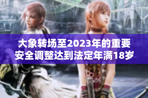 大象轉(zhuǎn)場至2023年的重要安全調(diào)整達(dá)到法定年滿18歲