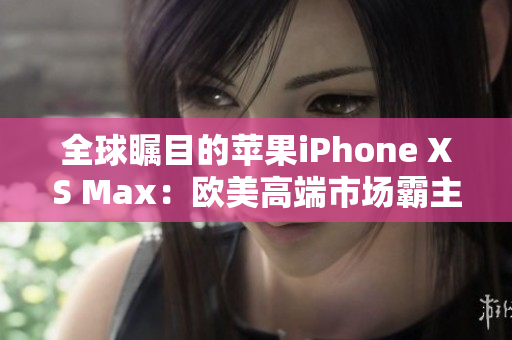 全球矚目的蘋(píng)果iPhone XS Max：歐美高端市場(chǎng)霸主！