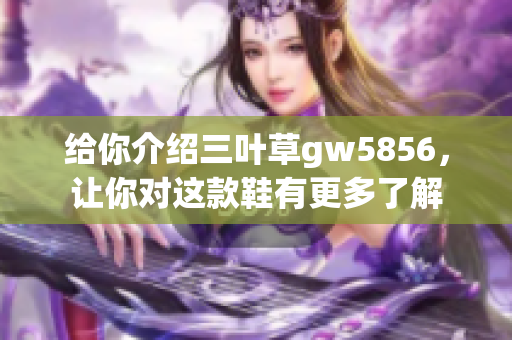 給你介紹三葉草gw5856，讓你對這款鞋有更多了解