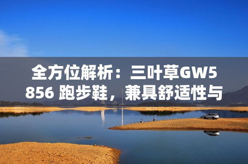 全方位解析：三葉草GW5856 跑步鞋，兼具舒適性與耐用性