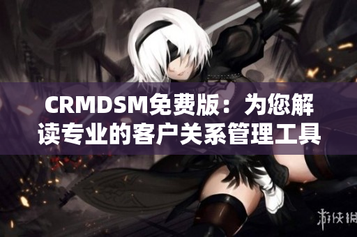 CRMDSM免費版：為您解讀專業(yè)的客戶關系管理工具