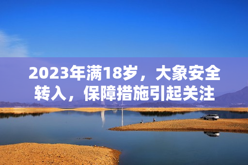 2023年滿18歲，大象安全轉(zhuǎn)入，保障措施引起關(guān)注