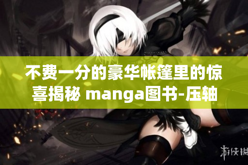 不費一分的豪華帳篷里的驚喜揭秘 manga圖書-壓軸力作(1)