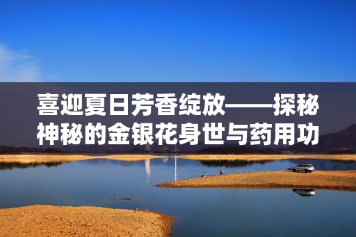 喜迎夏日芳香綻放——探秘神秘的金銀花身世與藥用功效