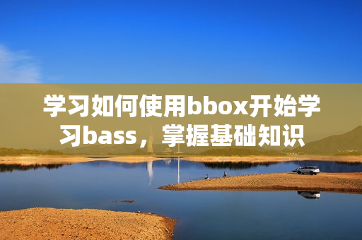 學(xué)習(xí)如何使用bbox開始學(xué)習(xí)bass，掌握基礎(chǔ)知識