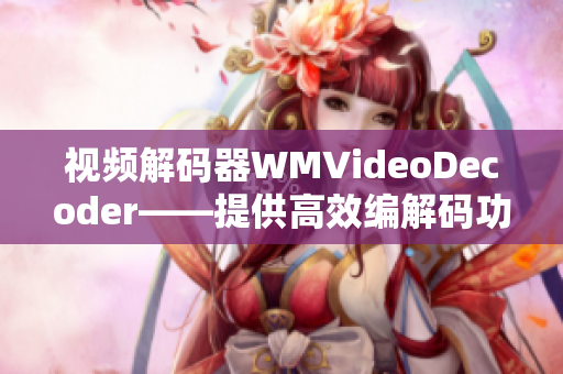 視頻解碼器WMVideoDecoder——提供高效編解碼功能