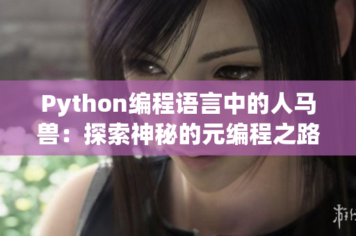 Python編程語言中的人馬獸：探索神秘的元編程之路