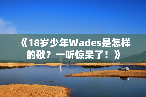 《18歲少年Wades是怎樣的歌？一聽(tīng)驚呆了！》