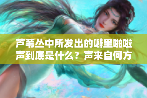 蘆葦叢中所發(fā)出的噼里啪啦聲到底是什么？聲來自何方？