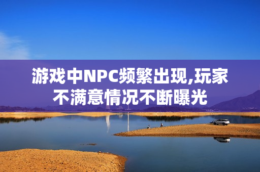 游戲中NPC頻繁出現(xiàn),玩家不滿意情況不斷曝光