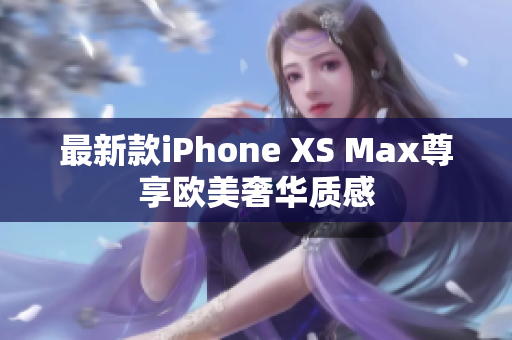 最新款iPhone XS Max尊享歐美奢華質(zhì)感