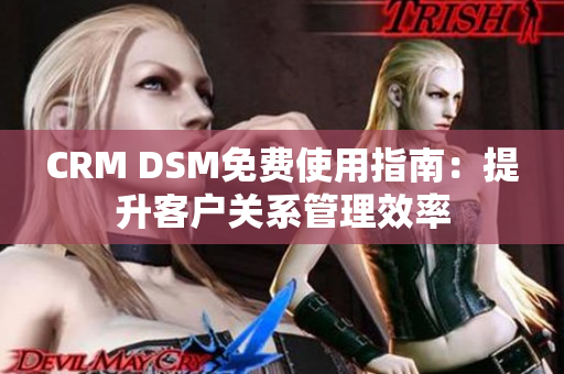 CRM DSM免費使用指南：提升客戶關(guān)系管理效率