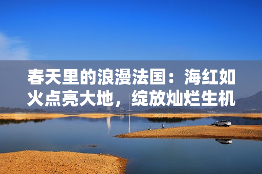 春天里的浪漫法國(guó)：海紅如火點(diǎn)亮大地，綻放燦爛生機(jī)