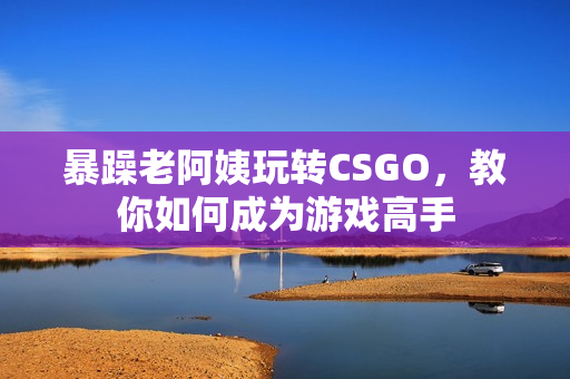 暴躁老阿姨玩轉(zhuǎn)CSGO，教你如何成為游戲高手