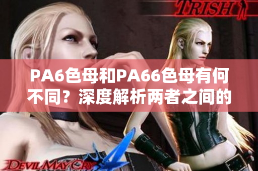 PA6色母和PA66色母有何不同？深度解析兩者之間的區(qū)別