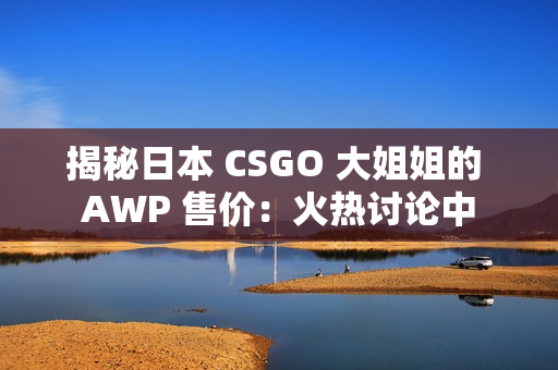 揭秘日本 CSGO 大姐姐的 AWP 售價(jià)：火熱討論中