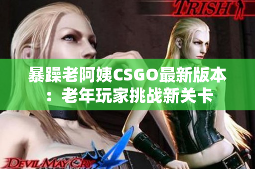 暴躁老阿姨CSGO最新版本：老年玩家挑戰(zhàn)新關(guān)卡