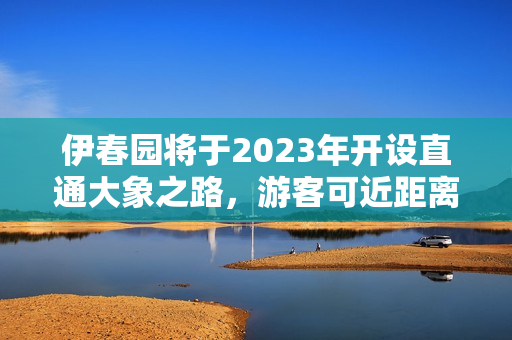 伊春園將于2023年開設直通大象之路，游客可近距離觀賞。