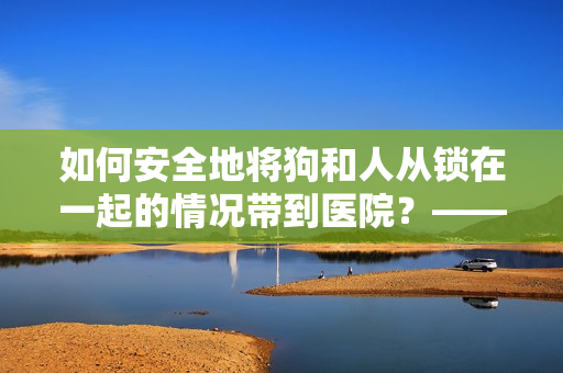 如何安全地將狗和人從鎖在一起的情況帶到醫(yī)院？——重要注意事項(xiàng)