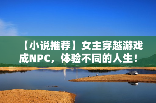 【小說推薦】女主穿越游戲成NPC，體驗(yàn)不同的人生！