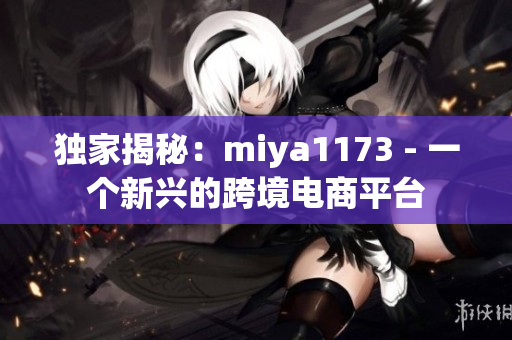 獨家揭秘：miya1173 - 一個新興的跨境電商平臺