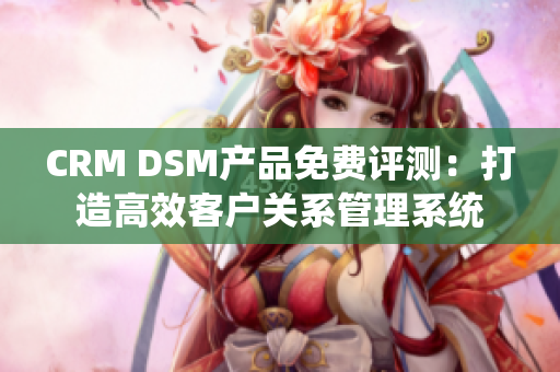 CRM DSM產(chǎn)品免費(fèi)評測：打造高效客戶關(guān)系管理系統(tǒng)