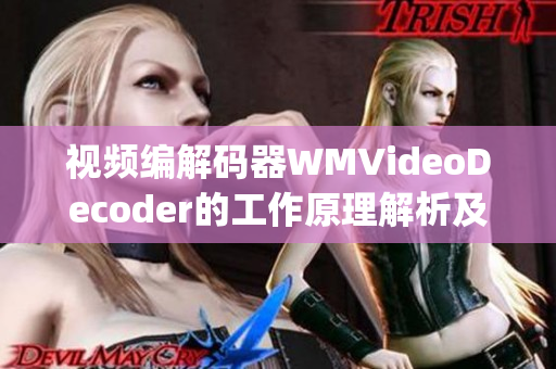 視頻編解碼器WMVideoDecoder的工作原理解析及應(yīng)用案例(1)