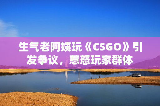 生氣老阿姨玩《CSGO》引發(fā)爭議，惹怒玩家群體