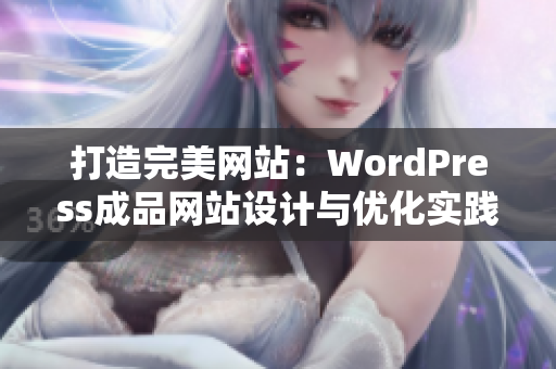 打造完美網(wǎng)站：WordPress成品網(wǎng)站設(shè)計與優(yōu)化實踐